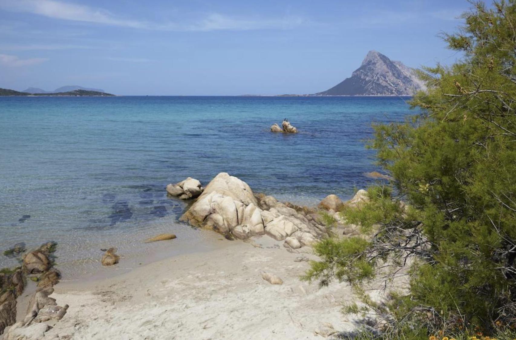 Appartamento Mare Olbia - Murta Maria Eksteriør bilde